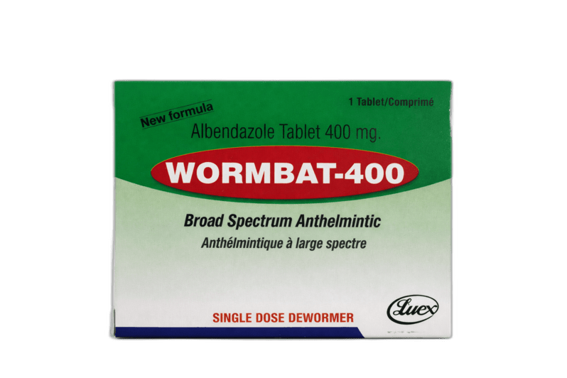Wormbat